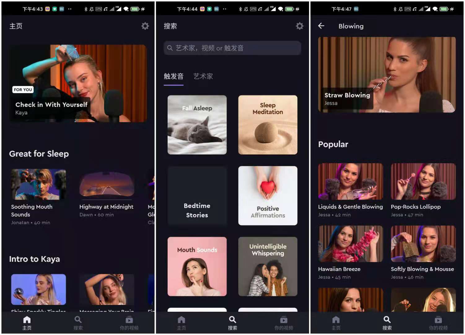 tingles v3.0.7 高级版解锁