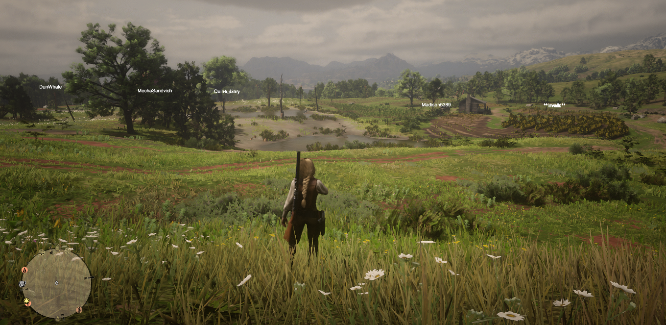 [荒野大镖客2]线上小**稳定使用