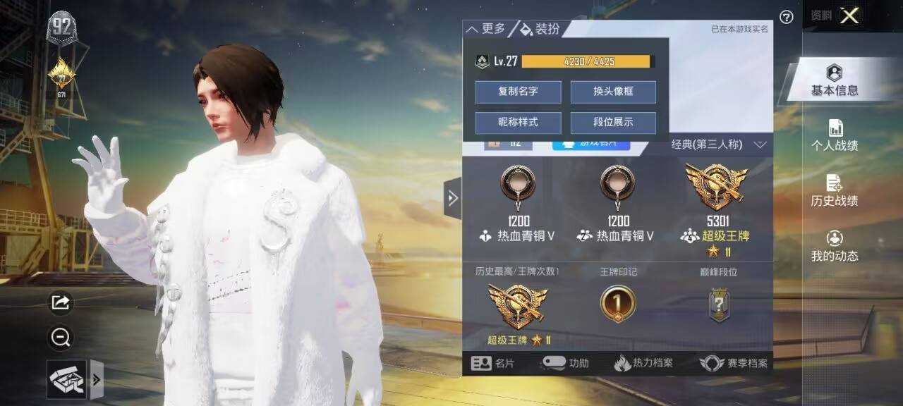 和平精英暴力熊公益120w范围插件