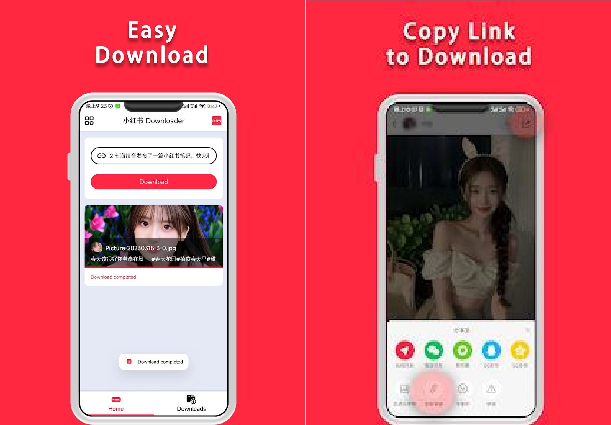 小红书下载器Downloader v1.1.5高级版