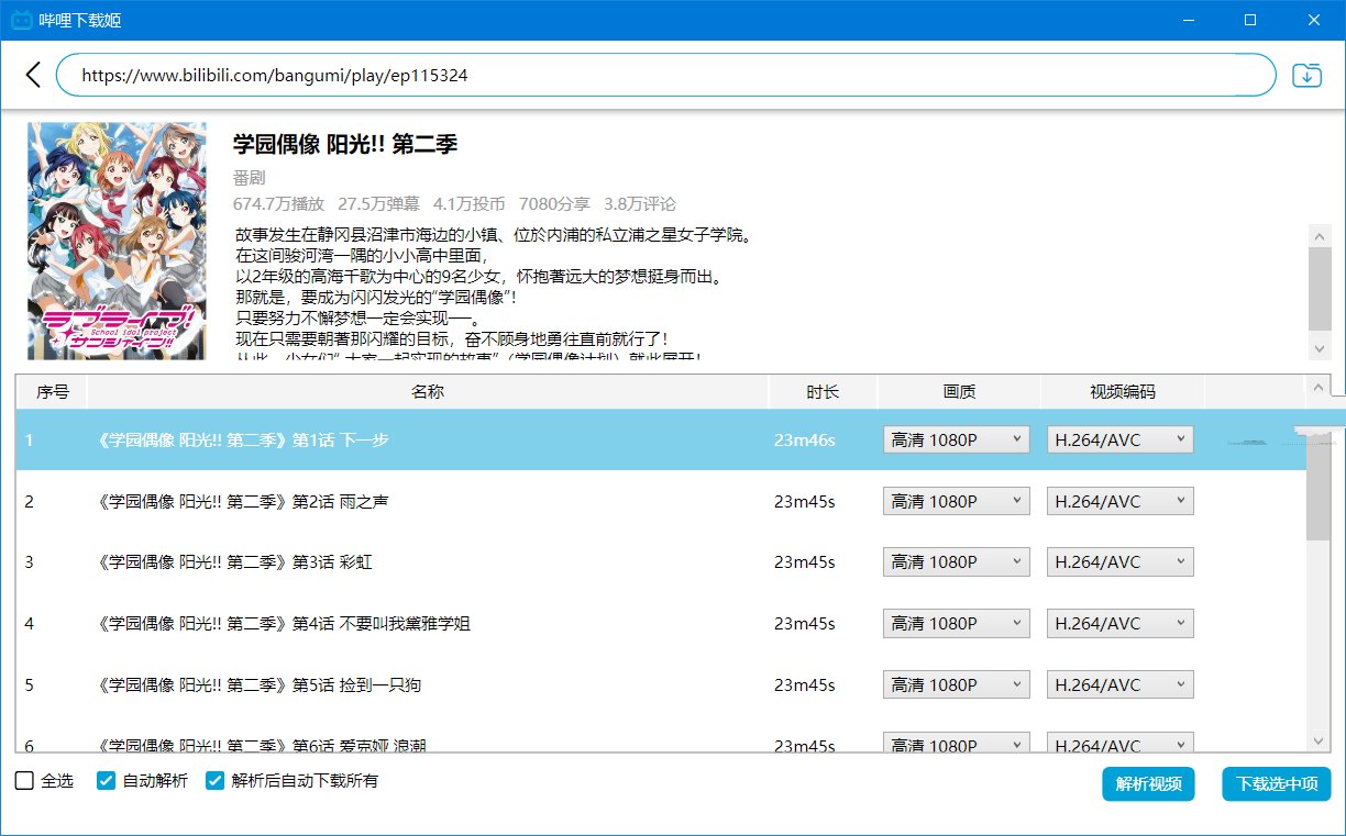 DownKyicore(哔哩下载姬跨平台版)v1.0.22绿色版