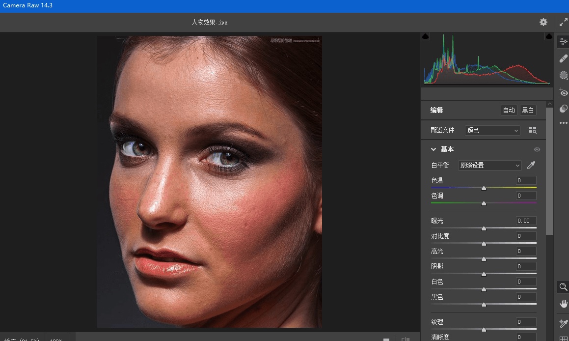 Adobe Camera Raw(RAW处理工具)v17.3.1